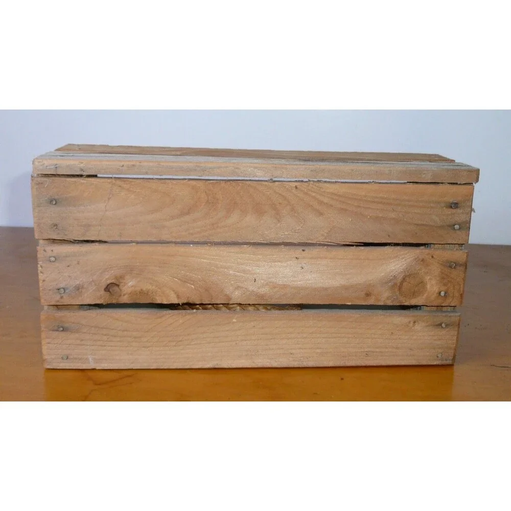 Rustic Hand Painted Wood Loon Bird Crate Box With Rope Handle Small Duck